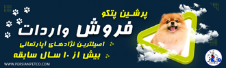 پرشین پتکو