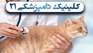  کلینیک دامپزشکی 21 