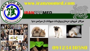 IranZooMed