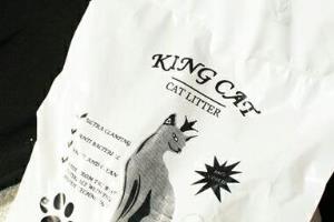 King cat