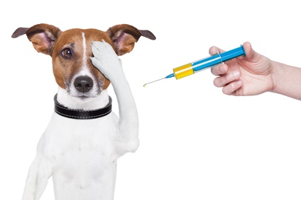 واکسیناسیون  برای سگ‌ها، گربه‌ها ،خرگوش‌ها و پرنده ها